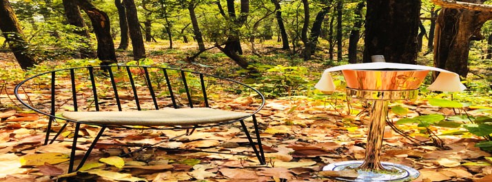 2528/lebua - Jim Corbett National Park 18.jpg